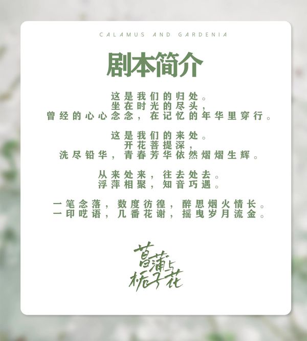 菖蒲与栀子花剧本杀复盘