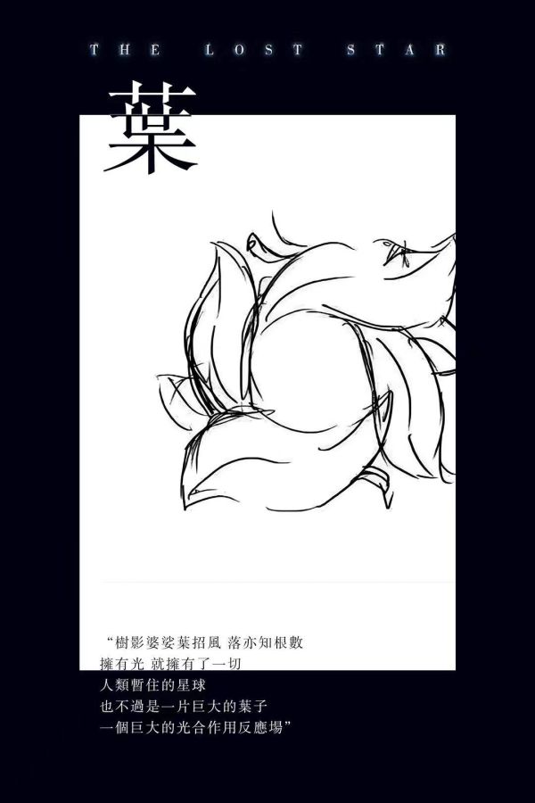 槽点剧本