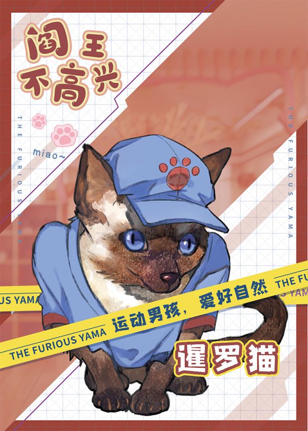 槽点剧本