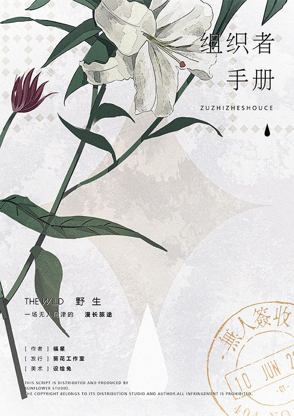 野生剧本杀复盘